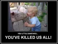 SWINE.webp SWINE.webp