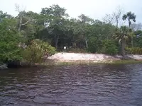 DCP01168.webp