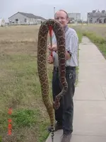 snake.webp