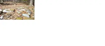 rocks.webp
