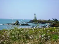Lighthouse.webp
