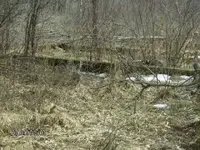 mikes coin photos 021.webp