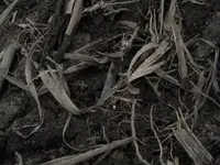 DSCN0285.webp
