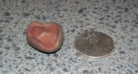 rock 003.webp