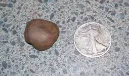 rock 005.webp