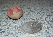 rock 007.webp
