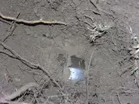 DSCN4324.webp