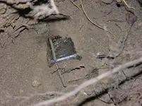 DSCN4326.webp
