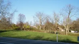 old shack 1.webp