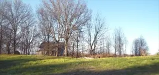 old shack 2.webp