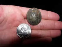 button wquart 50 perc.webp