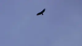 DSC02096_1.webp