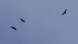 DSC02098_1.webp