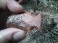 0312091511[1].webp