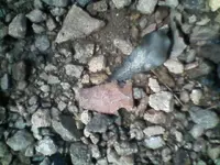 0312091510[1].webp