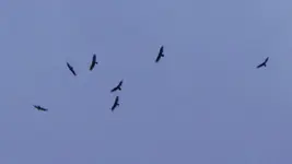 DSC02103_1.webp
