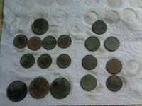 5-1-09 vison finds.webp