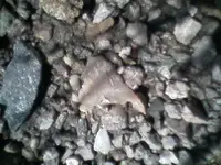 0312091511a[1].webp