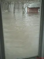 flood 0009001.webp