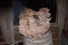 Picture_012.webp