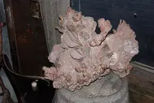 Picture_013.webp