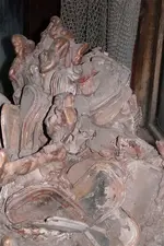 Picture_014.webp