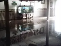 flood 009013.webp