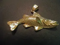 snook.webp