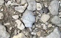 In Situ 1st Arrowhead.webp