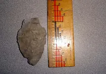 1st Arrowhead rev side.webp