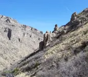 Stone People.webp