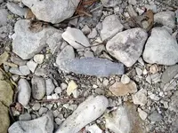 In Situ 2nd Arrowhead.webp