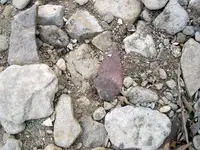 In Situ red  Knife.webp