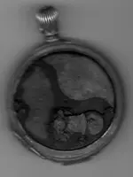 img009.webp
