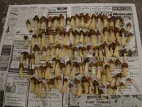 102 apr 10 2009.webp