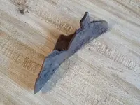 Plow Hitlon Head SC.webp