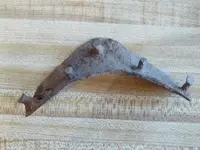 Relic Hilton Head SC.webp