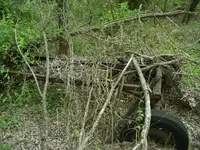 IMGP0011.webp