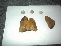 DSC00056.webp