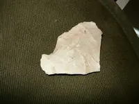 P1000326(1).webp