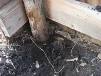 IMGP0013.webp