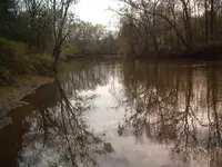 Along the river 004.webp