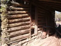 cabin 001.webp