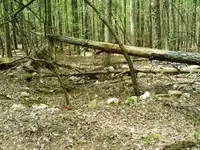 Stone foundation.webp