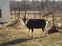 2009_03220014.webp