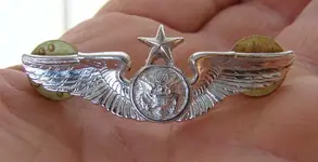 wings sm.webp