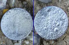 Fire Silver 4.webp