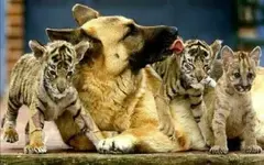 !cid_9619D7DB8FF344409E9AEB64FD352BFA@sparkyone.webp