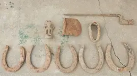 DSCF5162.webp