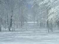 March snow pic\'s 2009 008.webp